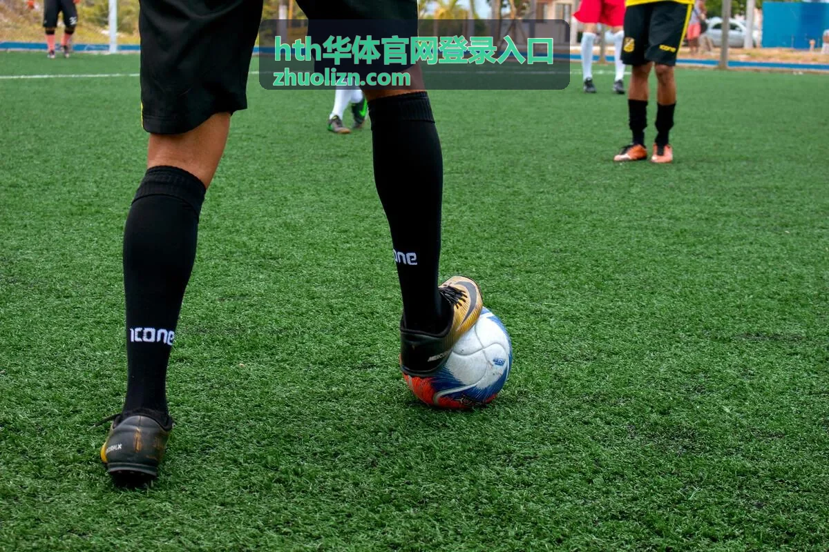 hth华体官网登录入口首页主视觉