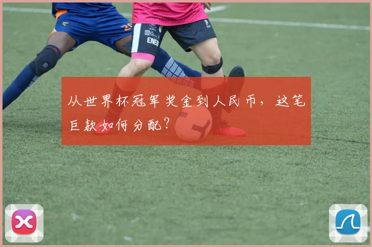 从世界杯冠军奖金到人民币，这笔巨款如何分配？