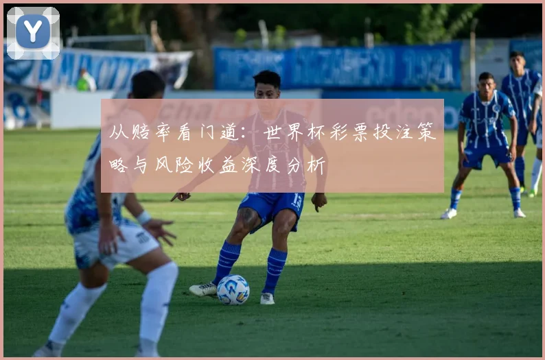 从赔率看门道：世界杯彩票投注策略与风险收益深度分析