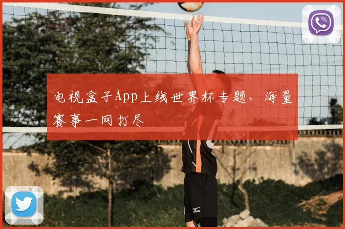 电视盒子App上线世界杯专题，海量赛事一网打尽