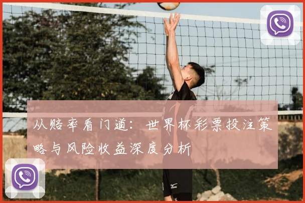 从赔率看门道：世界杯彩票投注策略与风险收益深度分析