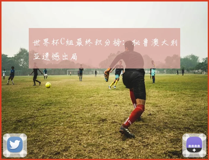 世界杯C组最终积分榜:秘鲁澳大利亚遗憾出局