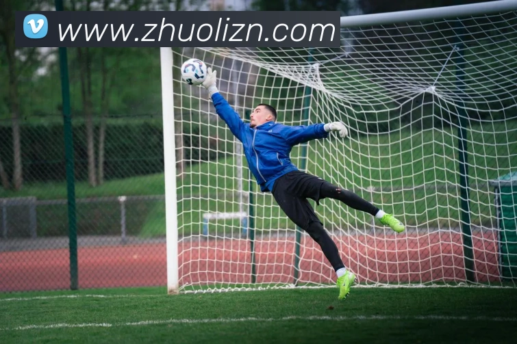 App Interface Preview